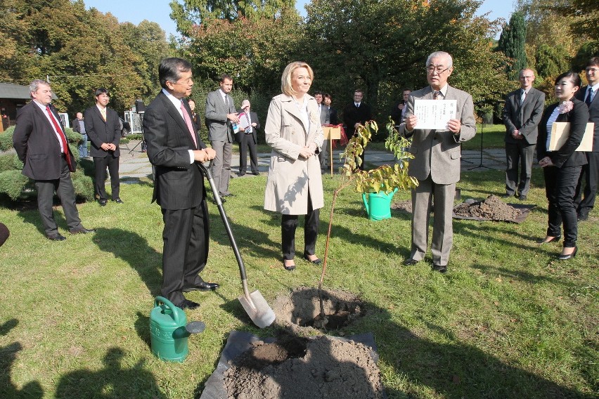 Hanna Zdanowska i ambasador Japonii sadzili drzewka w ogrodzie botaniczym [ZDJĘCIA]
