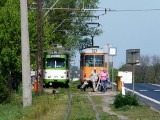 Będzie jeden bilet na trasie Łódź - Ozorków. MPK przejmie linię 46