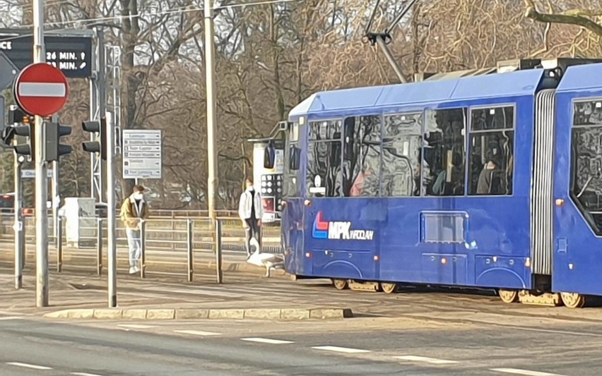 Łabędź zatrzymał ruch na moście Pokoju. Tramwaje jeździły objazdami