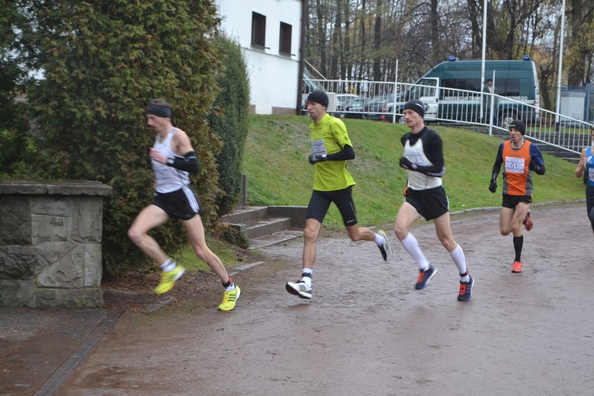 IX Półmaraton Wodzisławski: Ponad 300 osób w biegu