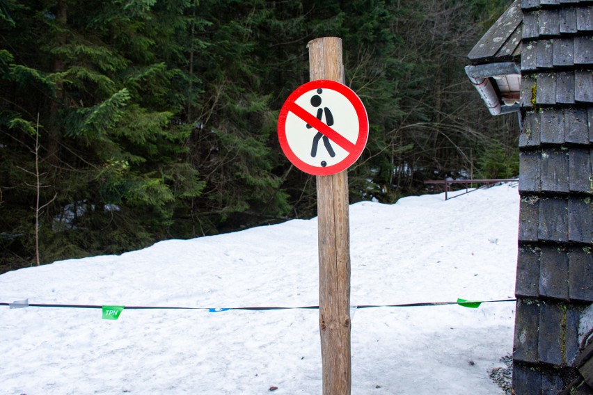 Koronawirus - Zakopane. Mimo zakazu wielu turystów wchodzi na tatrzańskie szlaki