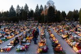 Cmentarz komunalny Wilkowyja w Rzeszowie trzeba będzie poszerzyć. Wkrótce może zabraknąć miejsca na pochówki