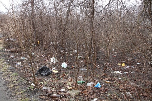 Odpadki zalegają na zielonym terenie przy ulicy Rajtarskiej w Kielcach.