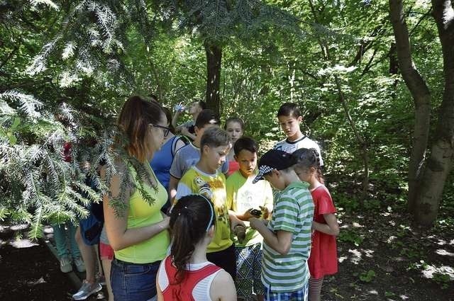 Wakacje to czas wypoczynku i relaksu, może na nas czekać jednak wiele niebezpieczeństw