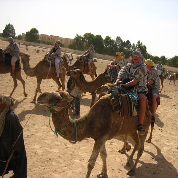 Jedną z atrakcji dwutygodniowych wyjazdów do Egiptu są wyprawy na Saharę.