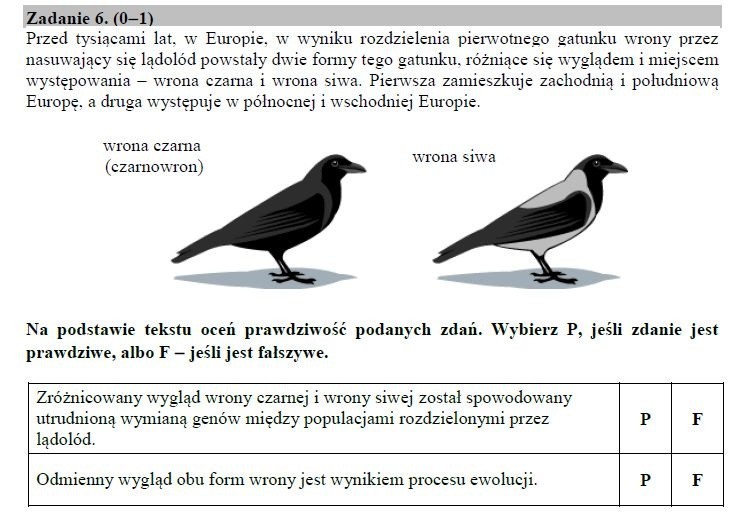 Egzamin gimnazjalny 2019 PRZYRODA. Odpowiedzi i arkusz pytań CKE - część matematyczno-przyrodnicza w serwisie EDUKACJA. Co było? ZADANIA