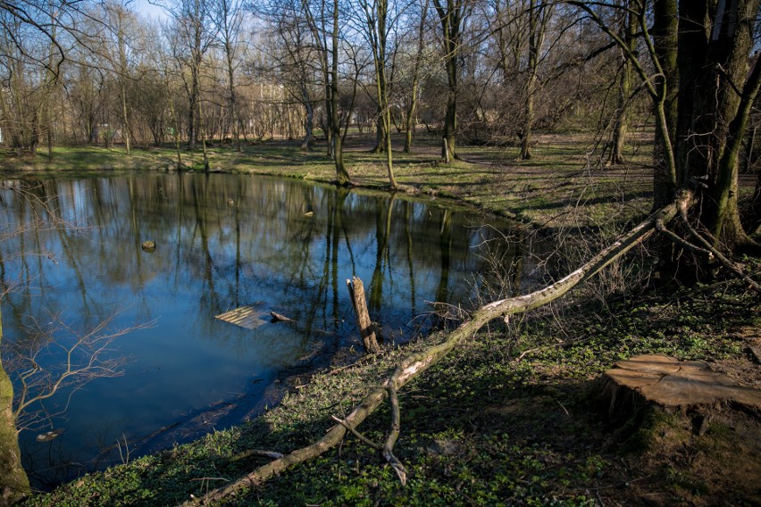 Eksperci badający wodę ze stawu w parku Duchackim mówią, że...