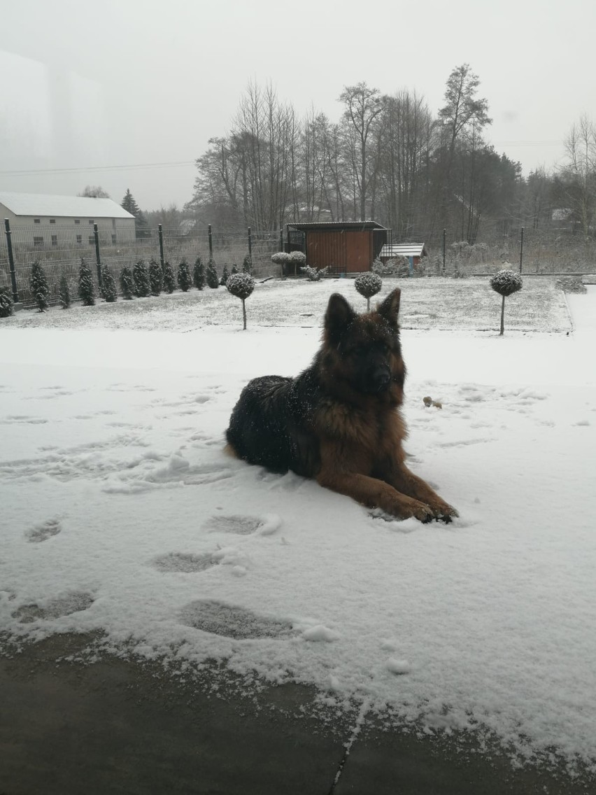 Zima w Radomiu i regionie. Zobacz zdjęcia internautów