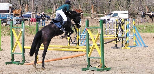 W niedzielę w Szczycienku (gmina Ostrowice) zaplanowano turniej jeździecki. 
