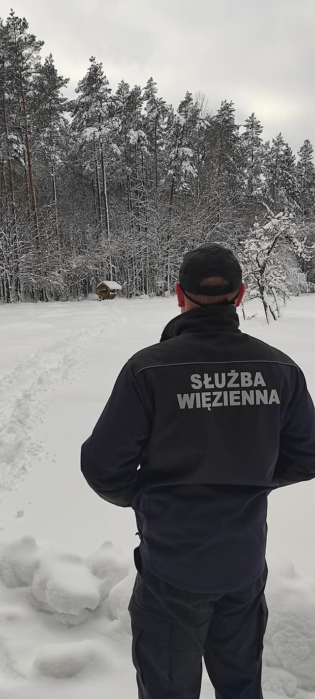 Służba więzienna w Puszczy Białowieskiej. Nikogo nie zatrzymano, ale zwierzęta miały ucztę (zdjęcia)