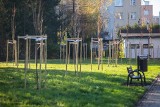W Bielsku-Białej powstają nowe tereny zielone. Zasadzono m.in. ponad 150 krzewów róż Giro d’Italia. Całość ma zachwycać wiosną