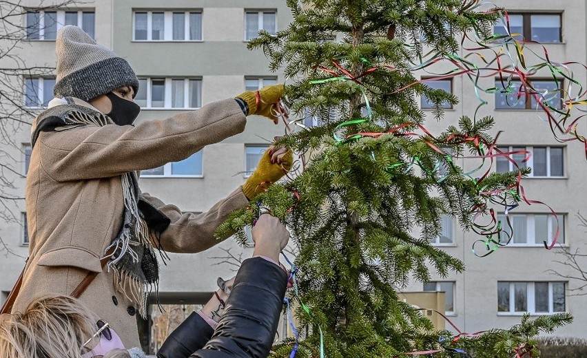 Mieszkańcy Żabianki, Jelitkowa, osiedla Tysiąclecia oraz Wejhera wzięli sprawy w swoje ręce i udekorowali drzewka świątecznymi ozdobami