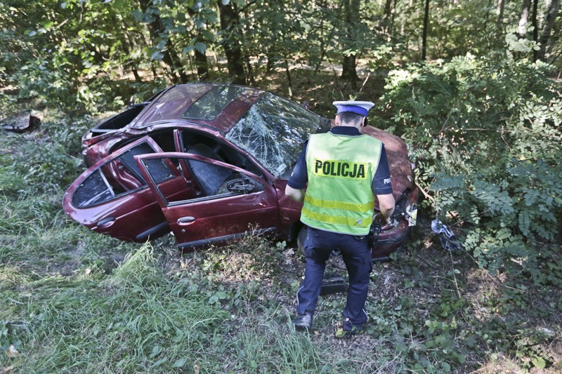 Kierowca renault megne jechał ul. Botaniczną w kierunku...