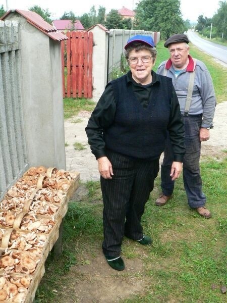 - To jest biznes, ale tylko przez dwa tygodnie. Teraz mamy pieniądze na leki, chleb, nowe buty, koszule i na ziemniaki na zimę - mówią Feliks i Feliksa Wąś z Niwek.