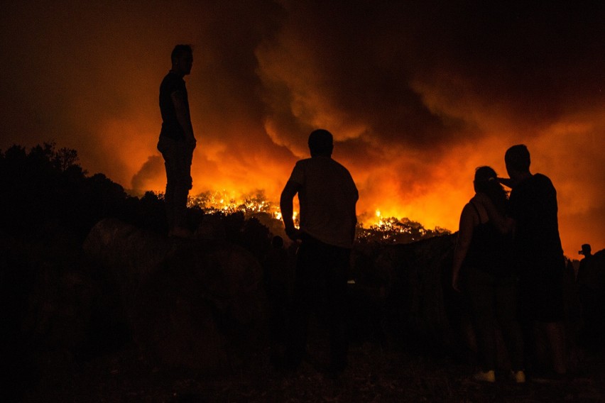 Pożary w okolicach Monchique (Alentejo/Portugalia)