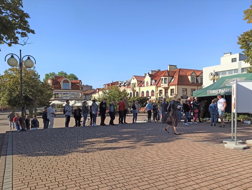 Tarnobrzeg. Sadzonki drzew były rozchwytywane. Mieszkańcy ustawili się w bardzo długiej kolejce [ZDJĘCIA]