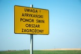 Z budowy zapory na granicy cieszą się rolnicy. Liczą, że powstrzyma nie tylko migrantów, ale też dziki z Białorusi roznoszące ASF