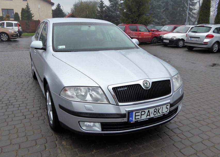 Używana Skoda Octavia II

fot. Marek Perczak