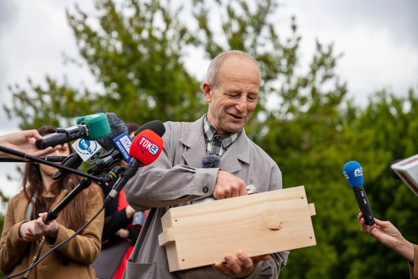 Owady zadomowiły się na skwerze przy Atrium Biała. Jest już...