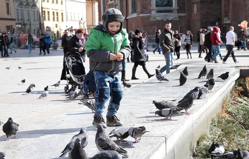 Świąteczny spacer po Rynku Głównym [ZDJĘCIA]