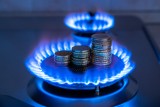 Nowy dodatek gazowy 2023 – wypełnij wniosek! Jakie warunki trzeba spełnić, żeby odzyskać VAT? Wniosek o dofinansowanie gazu złożysz online