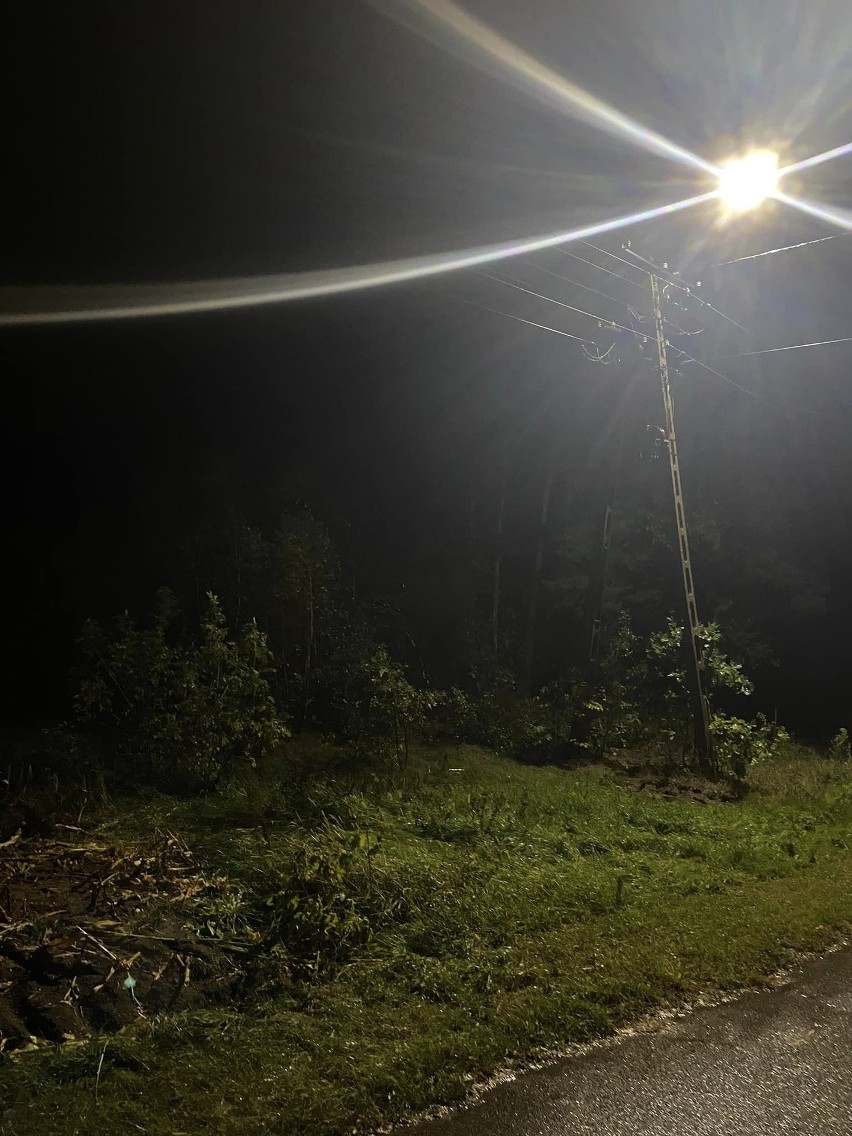 Skutki burzy w regionie - powalone drzewa, brak prądu (3-4.10.2023). Bez prądu ok. 52 tys. mieszkańców
