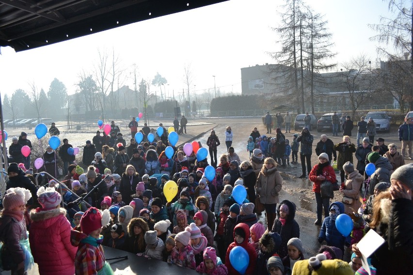 Sosnowiec: ogród jordanowski w Kazimierzu Górniczym od dziś otwarty [ZDJĘCIA i WIDEO]