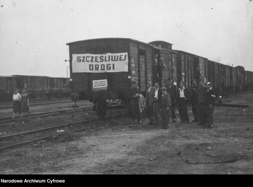 Przybywają osadnicy. Powiatowy Urząd Repatriacyjny w Słupsku (ZDJĘCIA) 