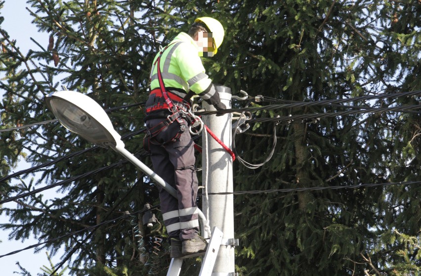 PGE Dystrybucja zaplanowała wyłączenia prądu w najbliższych...