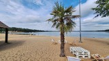 Najlepsze plaże w Lubuskiem. Czysty piach, czysta woda, czysta przyjemność! Tutaj wypoczniecie| INFORMATOR