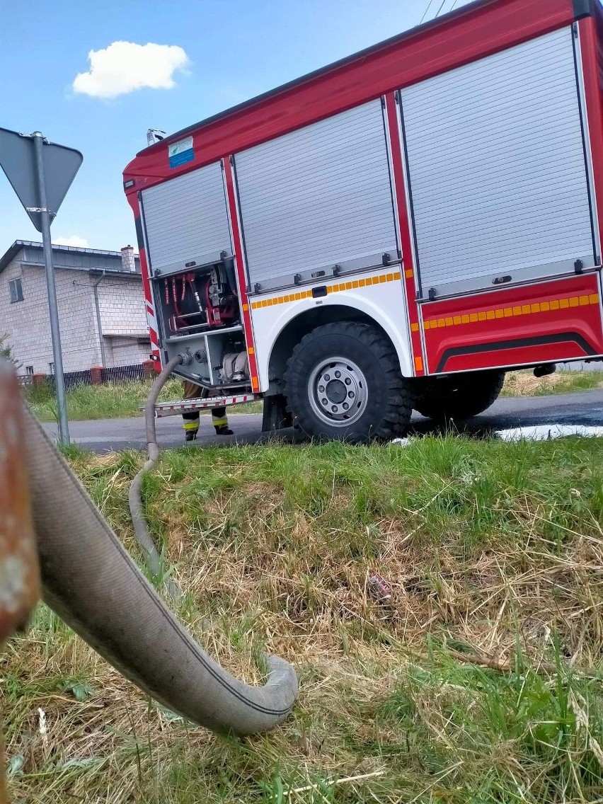 Pożar lasu w powiecie szydłowieckim. Na miejscu działało dziewięć zastępów straży pożarnej. Zobaczcie zdjęcia