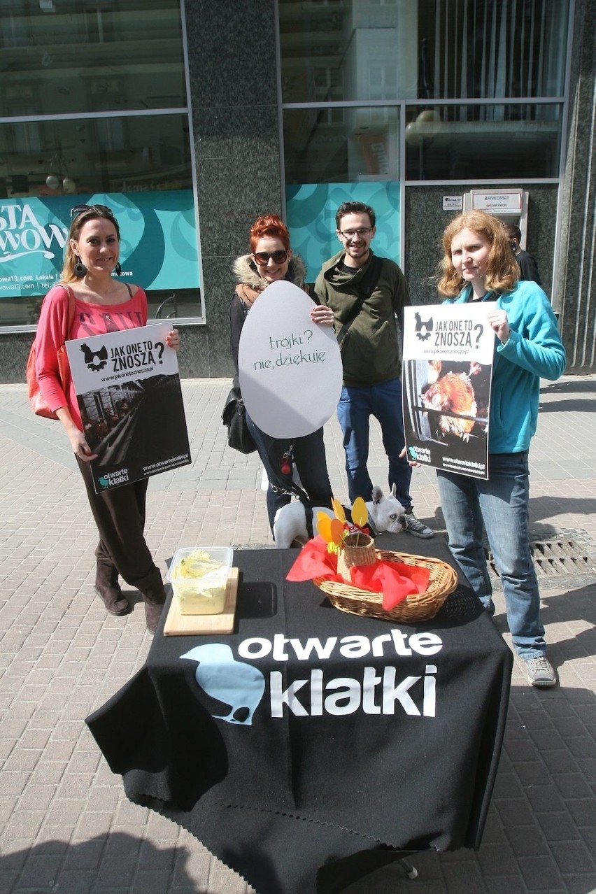"Jak one to znoszą" - Protest ekologów w Katowicach [ZDJĘCIA]