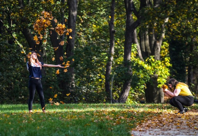 Bydgoszcz w jesiennej odsłonie wygląda równie przepięknie jak latem, a może nawet jeszcze ładniej. Nasz fotoreporter sfotografował m.in. park nad Kanałem Bydgoskim, Park Kochanowskiego i Wyspę Młyńską. Zobaczcie zdjęcia z bydgoskich parków!