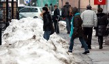 Zmiana frontu robót Miejskiego Zakładu Zieleni w Kołobrzegu. Przestali odśnieżać, zaczęli łatać dziury  