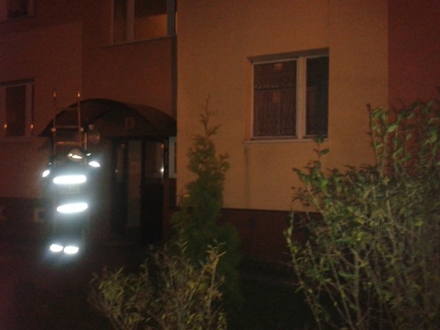 Strażacy przy pomocy drabiny weszli do mieszkania.
