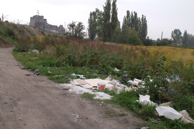 Śmieci rozrzucane są w pobliżu ulicy Usługowej.