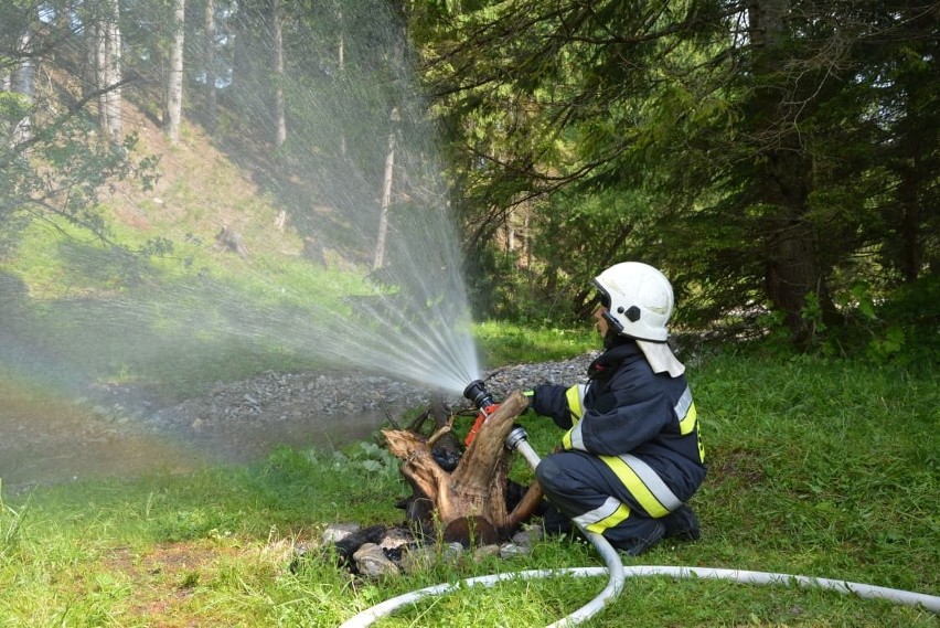 Tatry. Strażacy ćwiczyli na wypadek pożaru lasu [ZDJĘCIA]