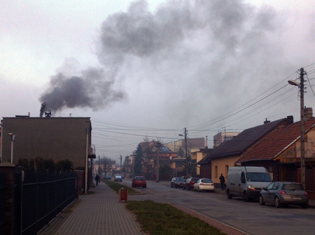 Niestety, większość sądeczan wybierając opał kieruje się ceną. Efektem jest toksyczne powietrze