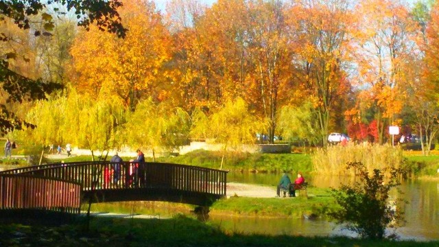 Gdzie najlepiej spędzić piękną jesienną niedzielę? Na spacerze. Bytomianie doskonale wiedzą, że zabytkowy Park Miejski im. Kachla może dostarczyć wielu zaskoczeń o każdej porze roku. Jesienią jednak jest niezwykle urokliwy ZOBACZCIE KOLEJNE ZDJĘCIA >>>