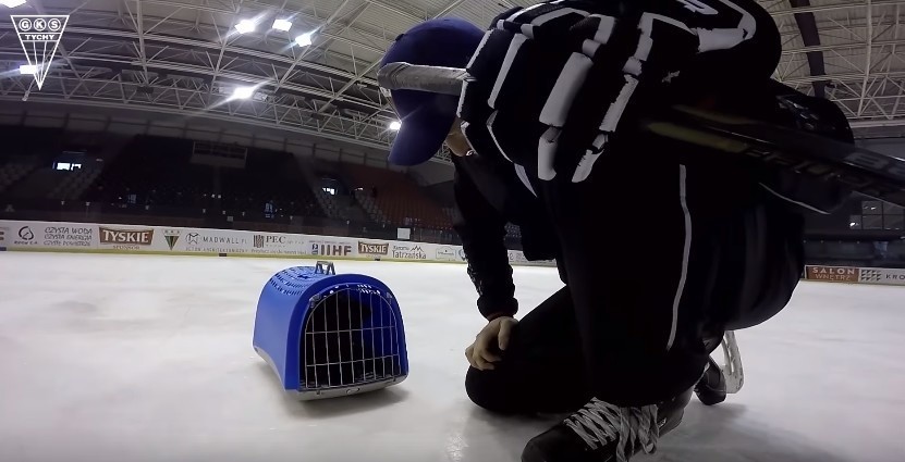 GKS Tychy prowadzi akcję pt. Nie zostawiaj psa na lodzie