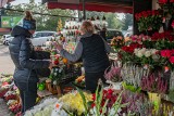 Wszystkich Świętych. 1 listopada coraz bliżej. Sprawdzamy ceny kwiatów i zniczy przy poznańskich cmentarzach