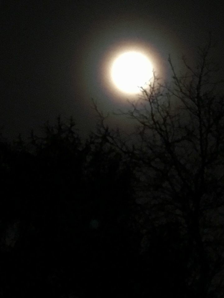 Superksiężyc 2016. Największa pełnia Księżyca [ZDJĘCIA]