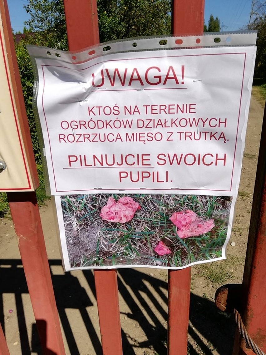 Rodzinny Ogród Działkowy "Jaroszówka" to idealne miejsce do...