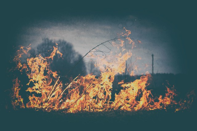 Pożar traw w Mysłowicach zagrażał zabudowaniom mieszkalnym