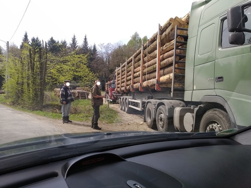 Ciężkie zestawy samochodowe do przewozu dłużycy niszczą...