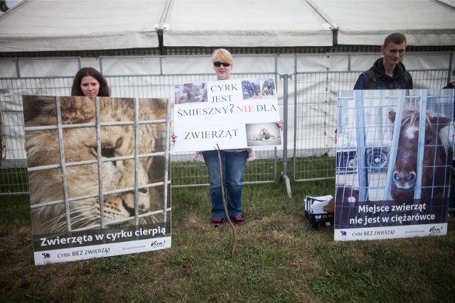 Protest przeciwko cyrkom ze zwierzętami
