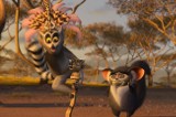 "All Hail King Julien" - zobacz zwiastun nowego serialu o Królu Julianie [WIDEO]