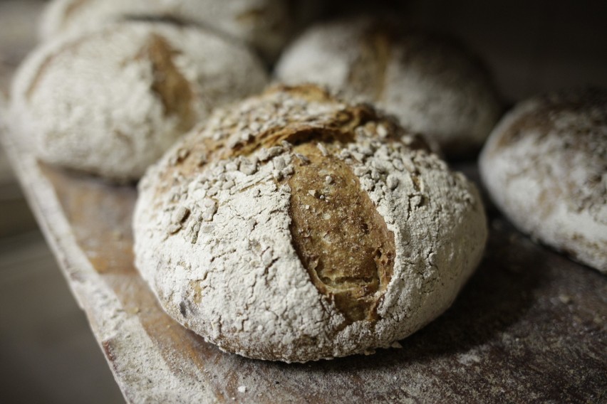 Z dobrej mąki dobry chleb. Zdradzamy sekrety udanego wypieku (ZDJĘCIA)