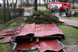 Kujawsko-Pomorskie: silny wiatr daje się we znaki. Drzewa uszkodziły samochód i linie energetyczne