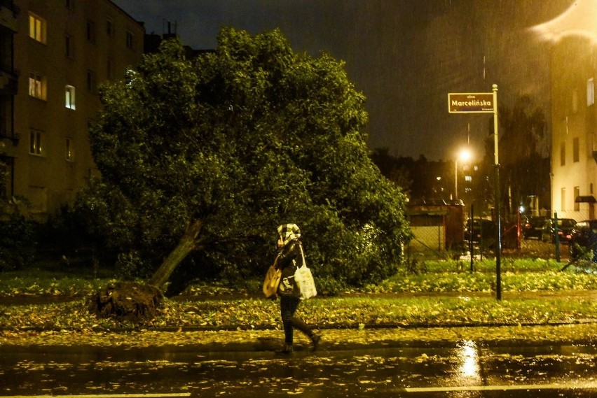 Orkan Ksawery: Tak wichura zniszczyła Poznań - 5.10.2017